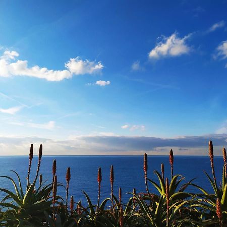 Casa Ravecca Apartment โบลยาสโค ภายนอก รูปภาพ