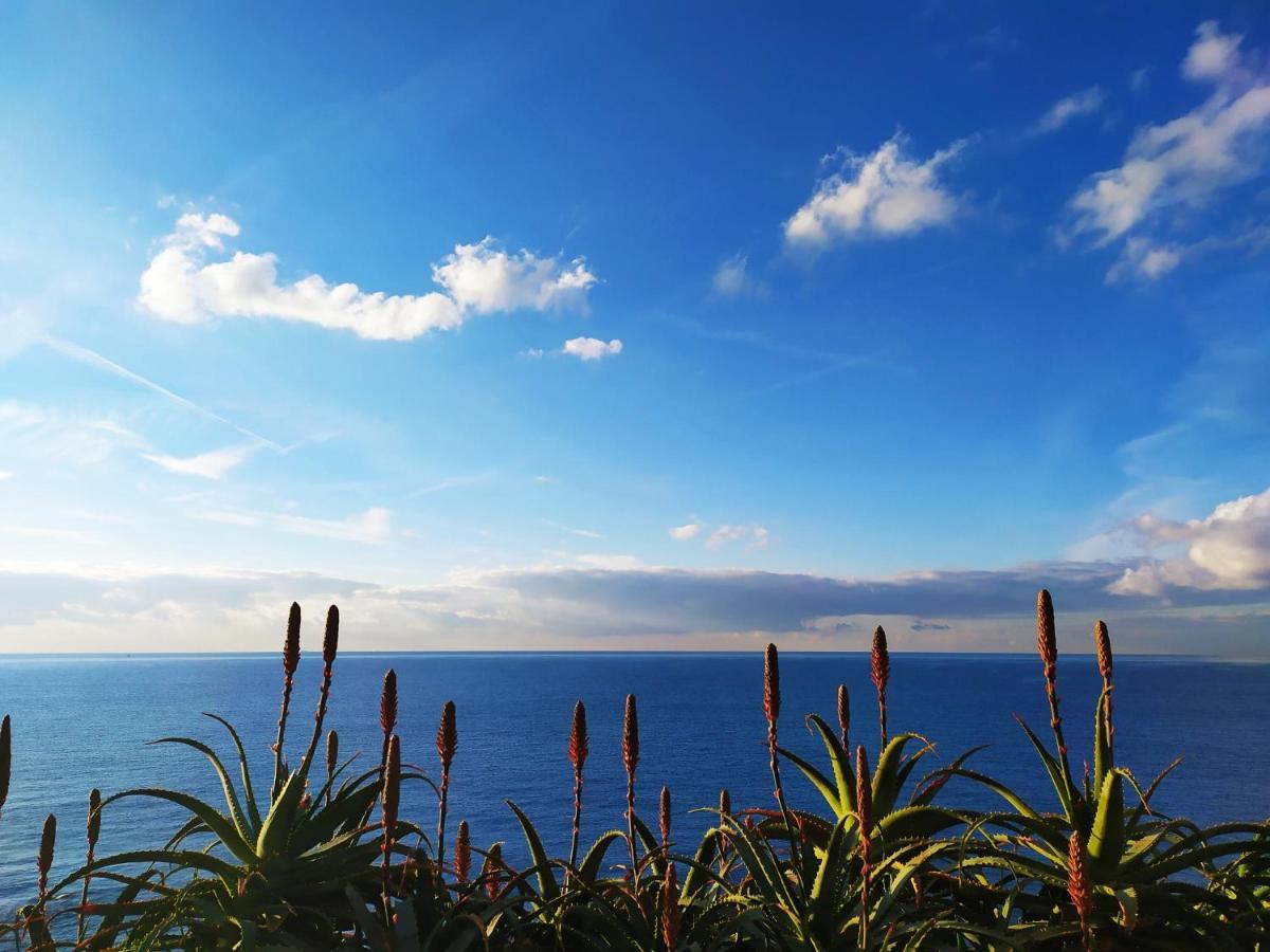 Casa Ravecca Apartment โบลยาสโค ภายนอก รูปภาพ